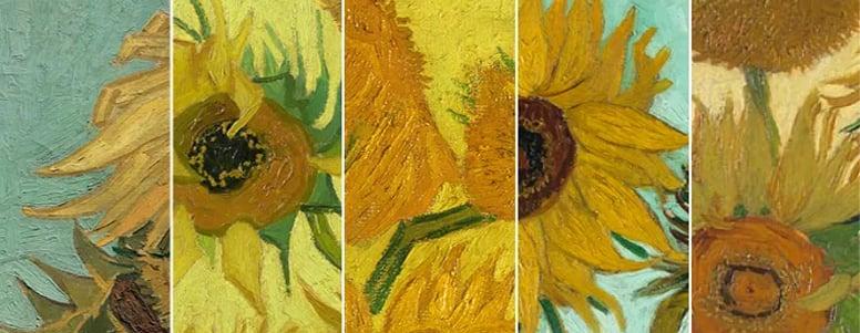 Mau sac ruc ro va net ve day nang luong trong tranh hoa huong duong cua Van Gogh
